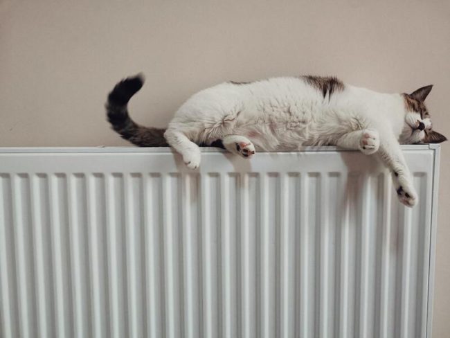 radiator-vs-tepla-pidloga Тепла підлога або радіатори